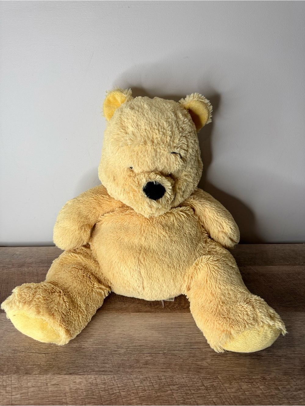 DISNEY BABY Winnie The Pooh Bear Plush Stuffy Stuffed Animal Toy 2013 - Picture 5 of 10